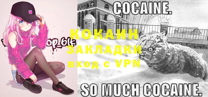 COCAIN 99%  Чаплыгин 